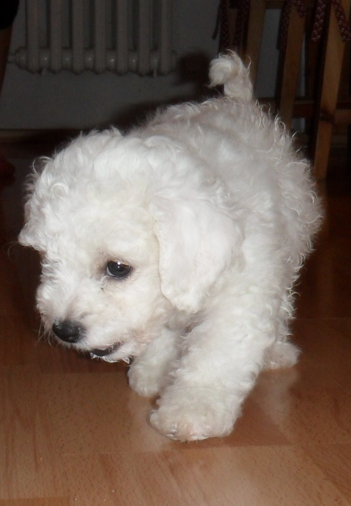 SAM_0022.JPG